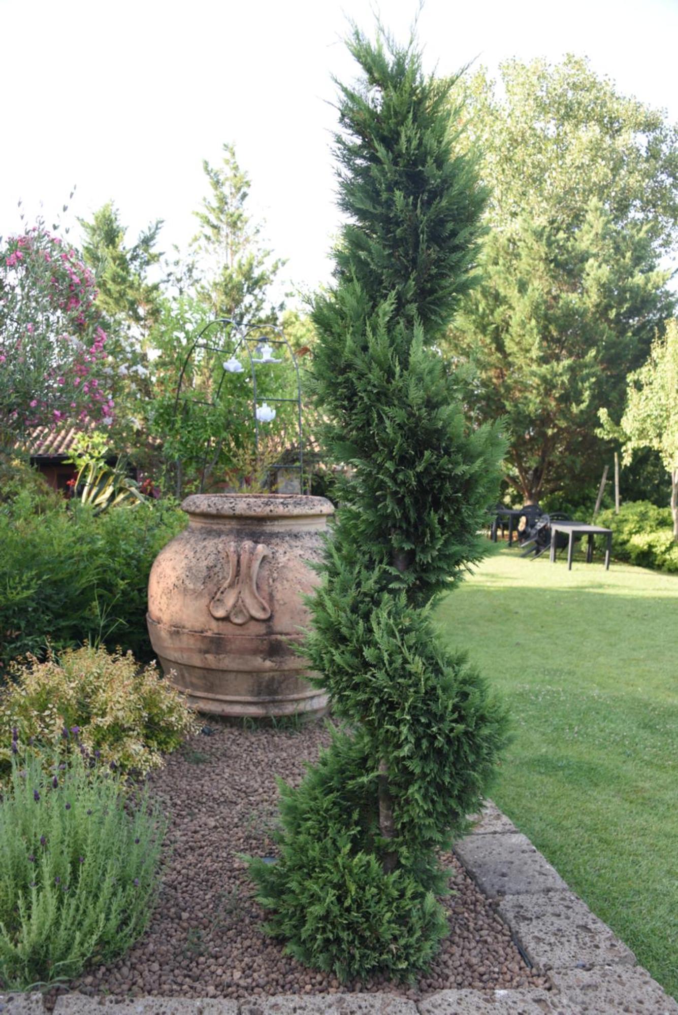Bosco D'Olmi Country House Sant'Andrea del Garigliano 외부 사진